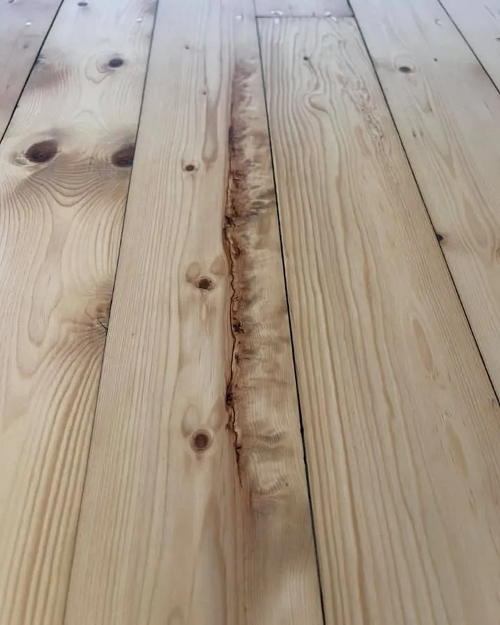 Floor by Sap &amp; Grain